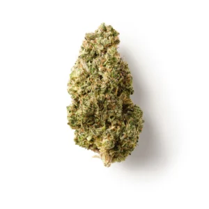 Lemon Kush Burst | CBD Flower | Exquisite Indoor | 16% CBD